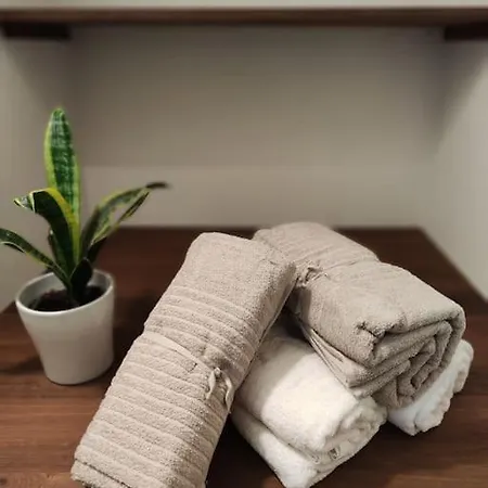 L'oustalet D'erine - Spacieuse Et Climatisee Semesterbostad Albi