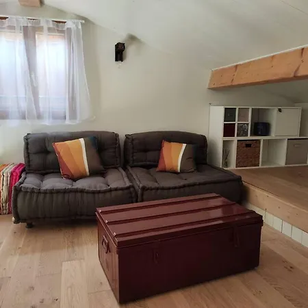 Semesterbostad L'oustalet D'erine - Spacieuse Et Climatisee Albi